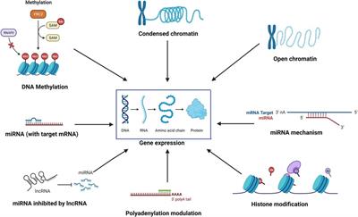 Insights into the epigenetics of chronic rhinosinusitis with and without nasal polyps: a systematic review